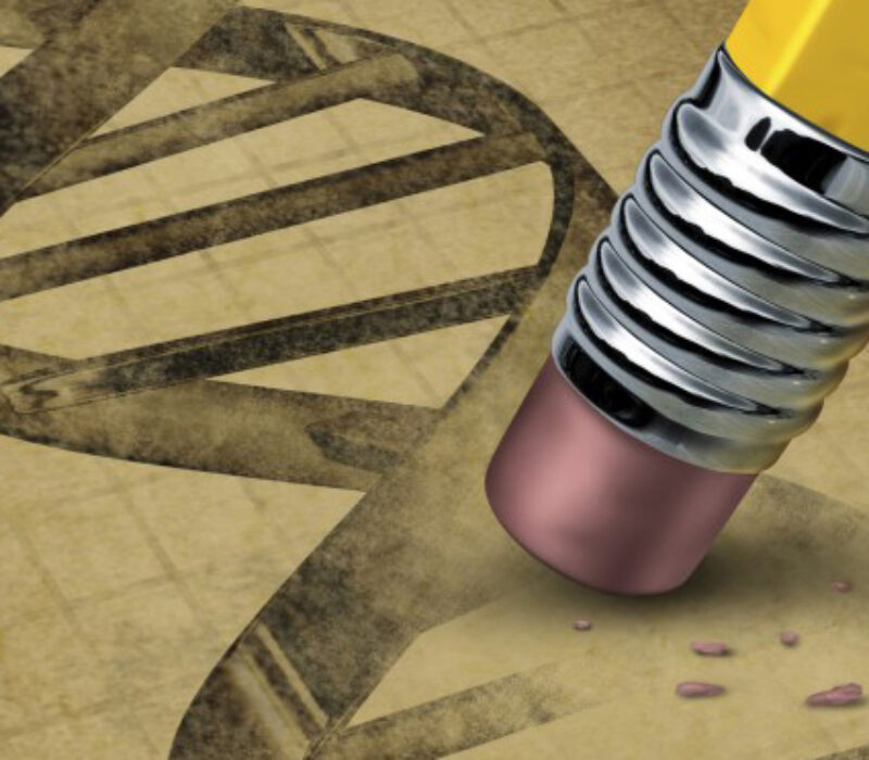 I GENialt: CRISPR 2.0: Tegner livets kode med viskelær og blyant