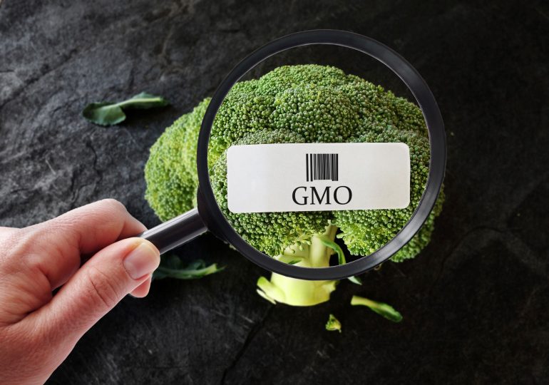 broccoli med GMO-merke