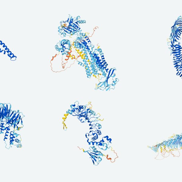 Nobelprisen i kjemi 2024: Proteiner møter kunstig intelligens