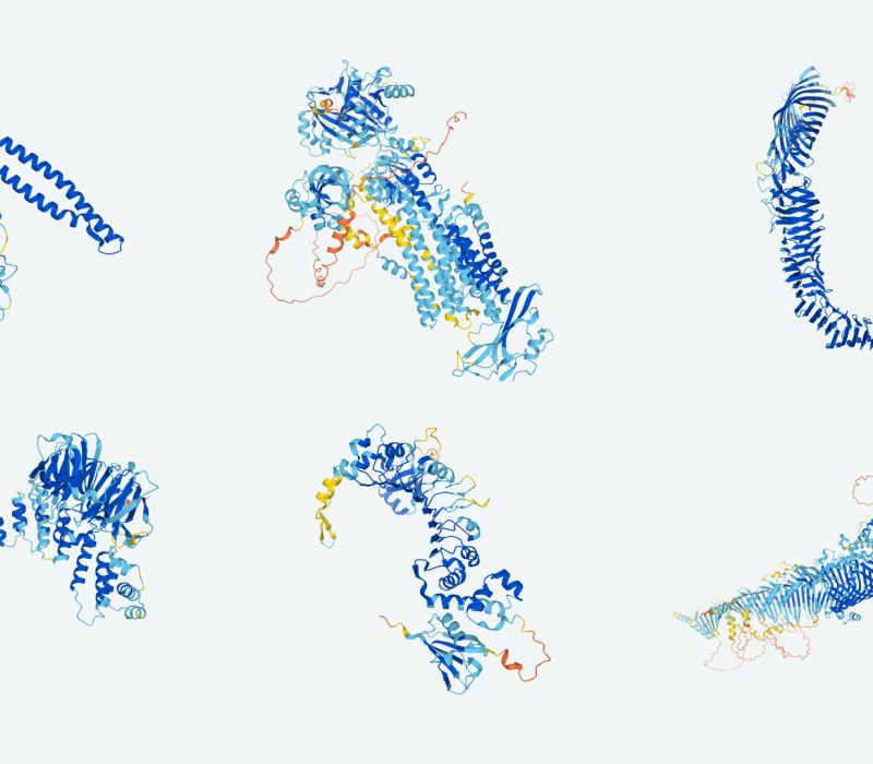 Nobelprisen i kjemi 2024: Proteiner møter kunstig intelligens