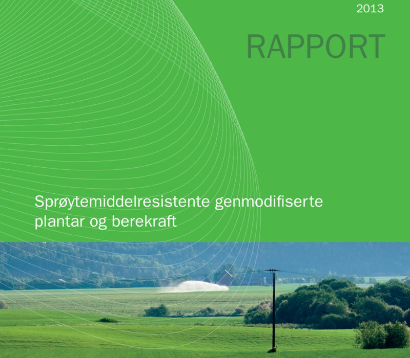 Berekraftig og genmodifisert?