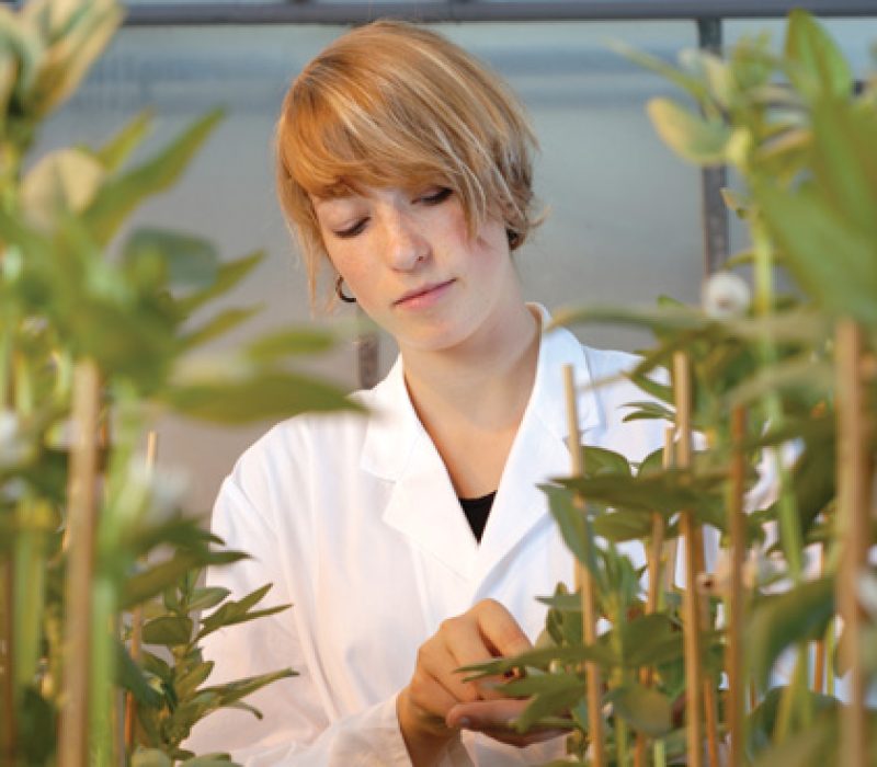 Uklar lovgivning for gener som gir resistens mot antibiotika