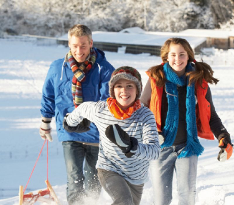 Nytt nummer av GENialt (nr. 4/2010)