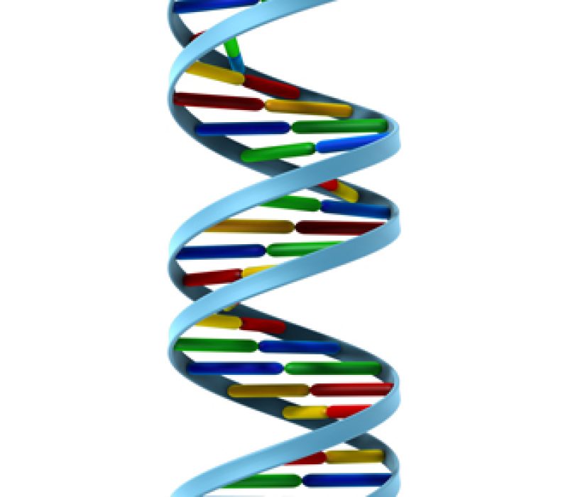 Bioteknologisk tidslinje 2000–2010