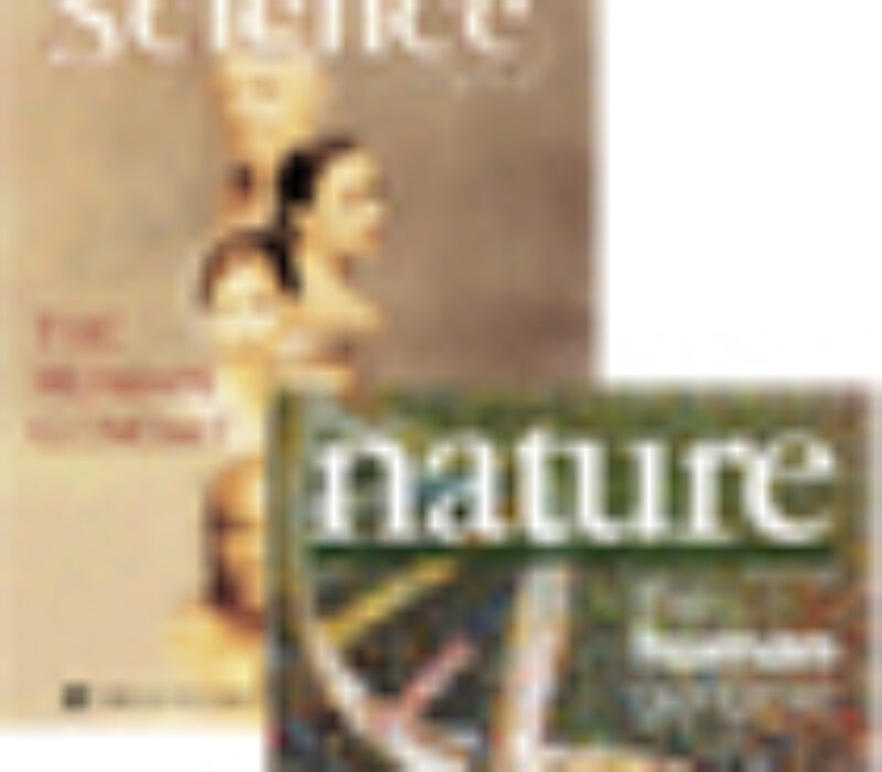 Lita nytte i klinikken ti år etter det humane genom