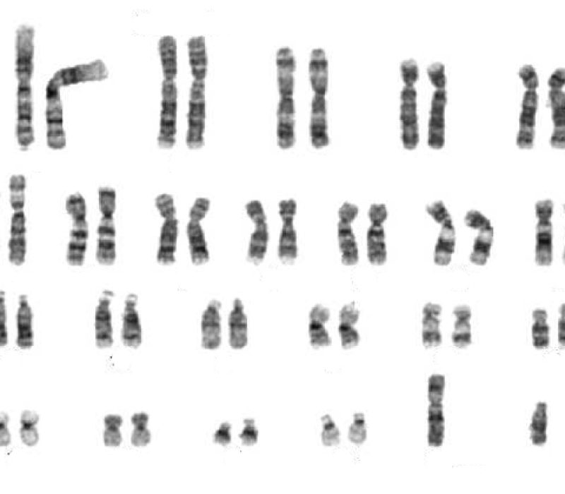 Leder i GENialt: Idrettens gentesting bør skje i Norge