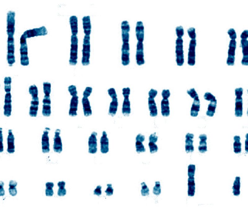 Genetisk familiedrama