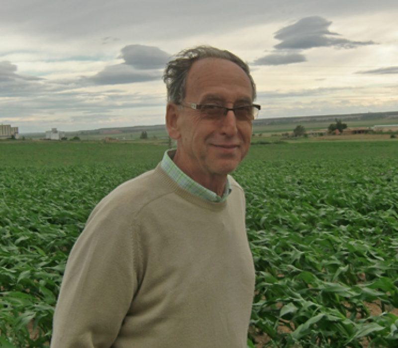 Ønskjer GMO-frie soner