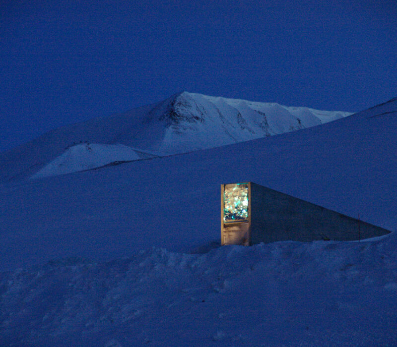 Bevaring av genetiske ressurser på Svalbard