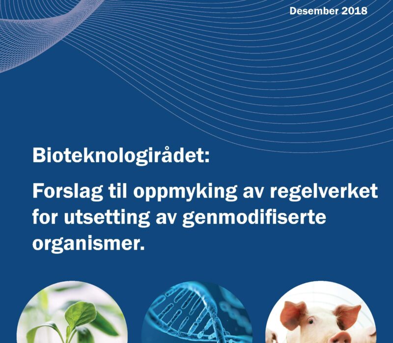 Uttalelse: Bioteknologirådet vil modernisere GMO-regelverket