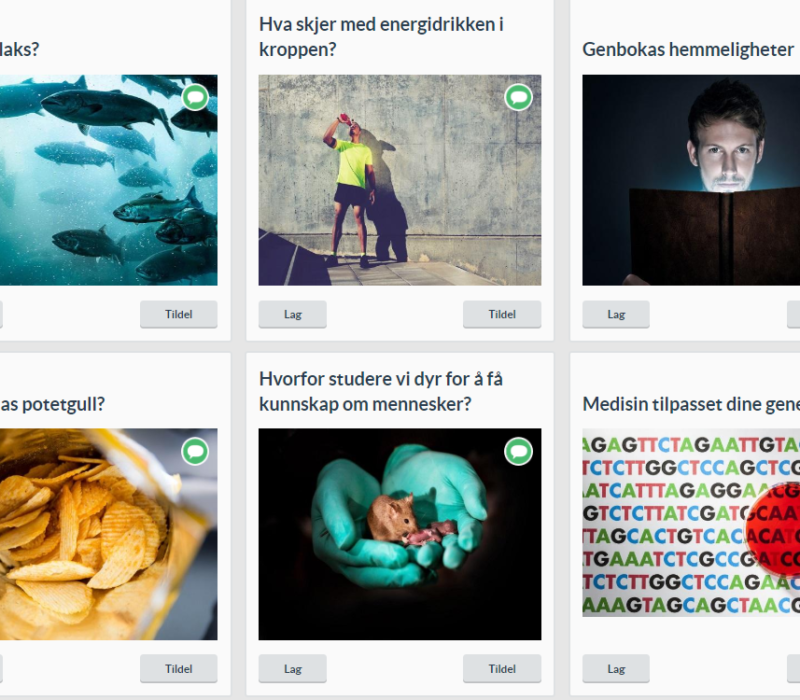 Workshop for lærere: Nytt digitalt verktøy for ungdomsskolen