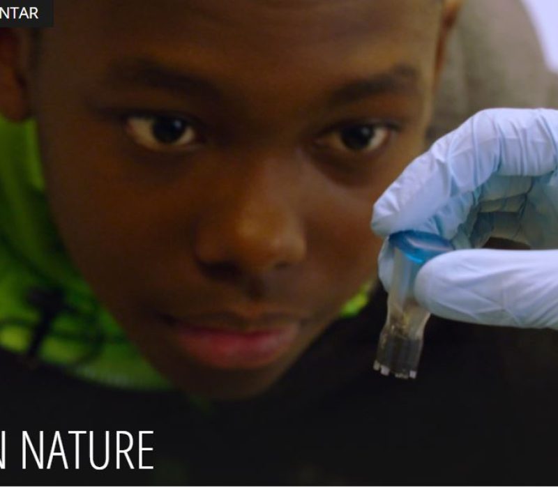 Oslo 21. november: Film og panelsamtale: HUMAN NATURE