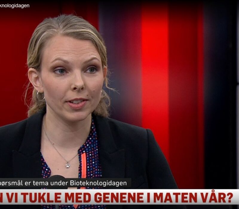 TV2 setter søkelys på CRISPR, klima og matsikkerhet