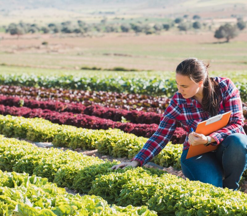 AVLYST: 16. april: Hva mener folk om CRISPR-mat?