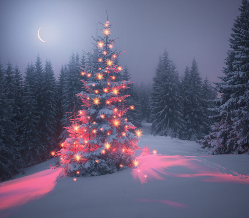 I GENialt: Ønskjer du deg eit sjølvlysande juletre?