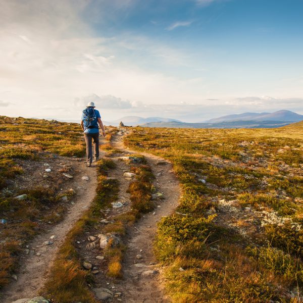 Epigenetikk – en bro mellom miljø og genetikk