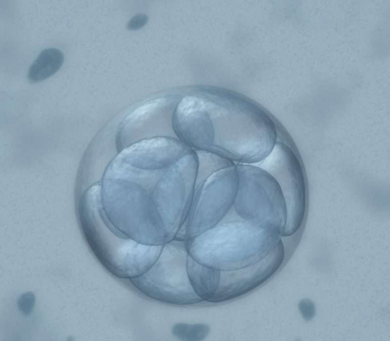 Arvelig genredigering i mennesker