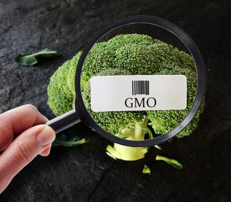 Arendalsuka 18.8: Genredigering og global matproduksjon