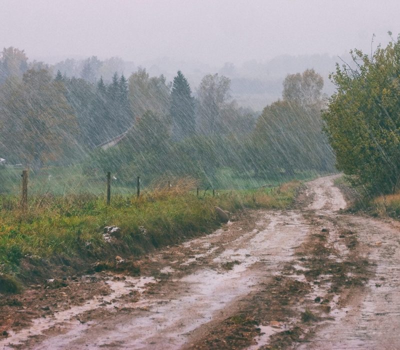 Berekraft, matproduksjon og genteknologi – leder GENialt 3-21