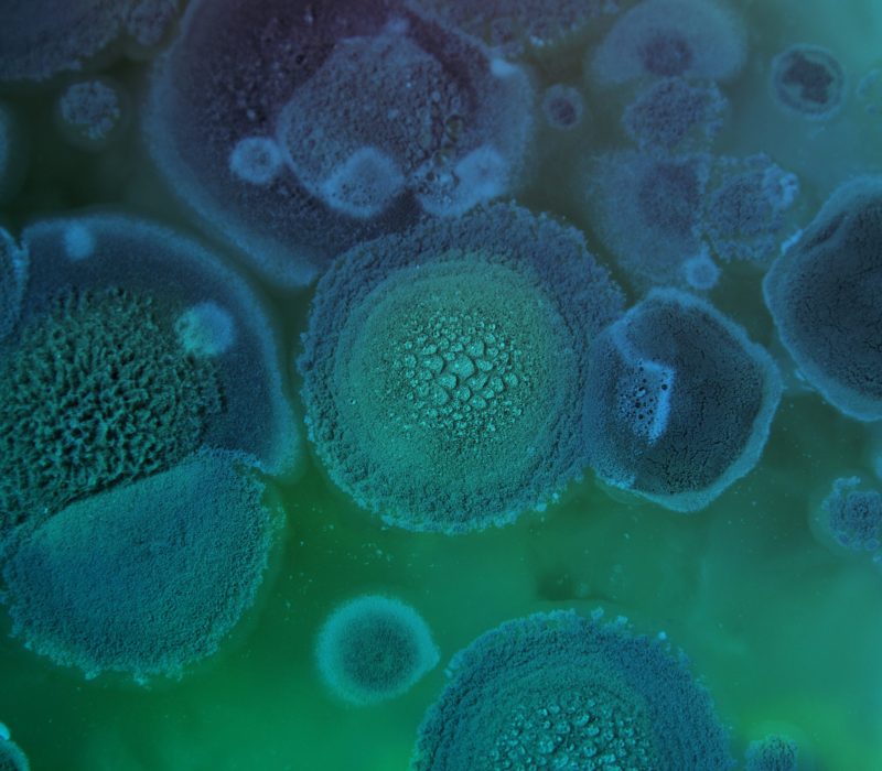 Bioteknologidagen 2022 Trondheim – Industriell bioteknologi og syntetisk biologi