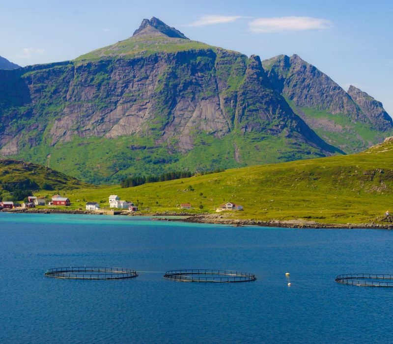 Bioteknologidagen 2022 Tromsø – Genteknologi og matproduksjon