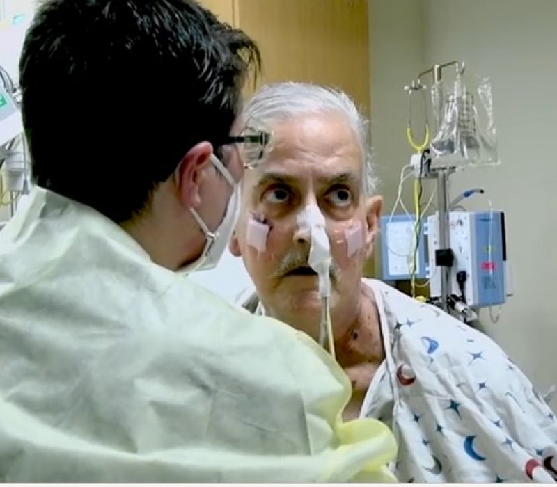 Xenotransplantasjon, organmangel og en genredigert gris