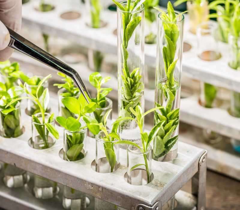 SmåGENialt: Ny teknologi – vår framtid