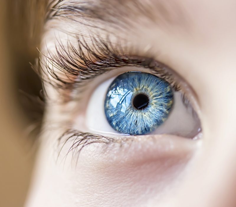 I GENialt: Nytt glimt i døde øyne