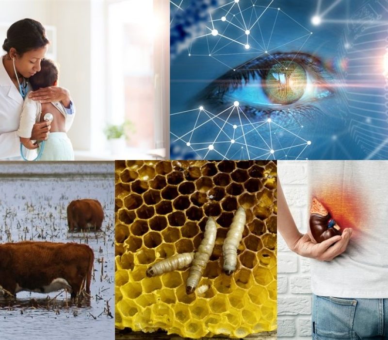Bioteknologidagen 2023