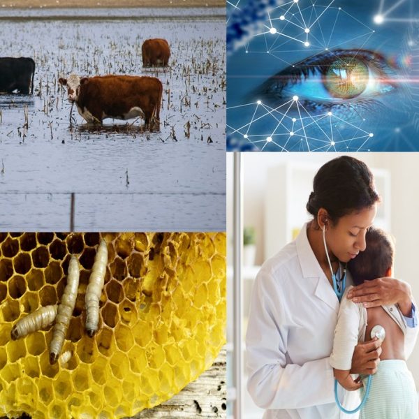 Bioteknologidagen 2023 – 15. februar kl 16-18.30