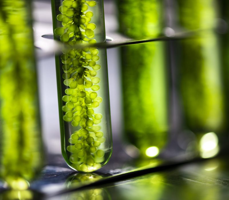 Frokostmøte: Den nye maten