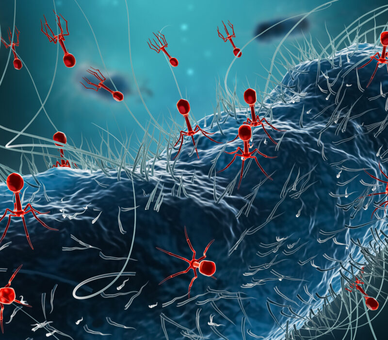 Reprogrammerte bakterier med innebygget virussikring