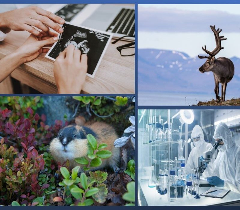 Bioteknologidagen 2024