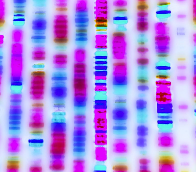 KI finner DNA-mutasjoner som gir sykdom
