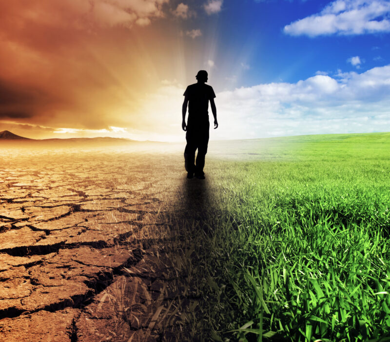 Seminar i samarbeid med Det Norske Videnskaps-Akademi: Hva vet vi om risiko for miljøskade ved utsetting og bruk av GMO?