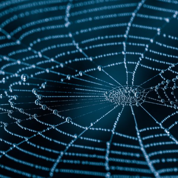 Spinner edderkoppsilke i mikrobrikke