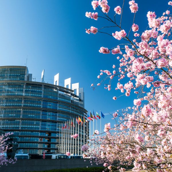 Liberalisering av GMO-regelverket?