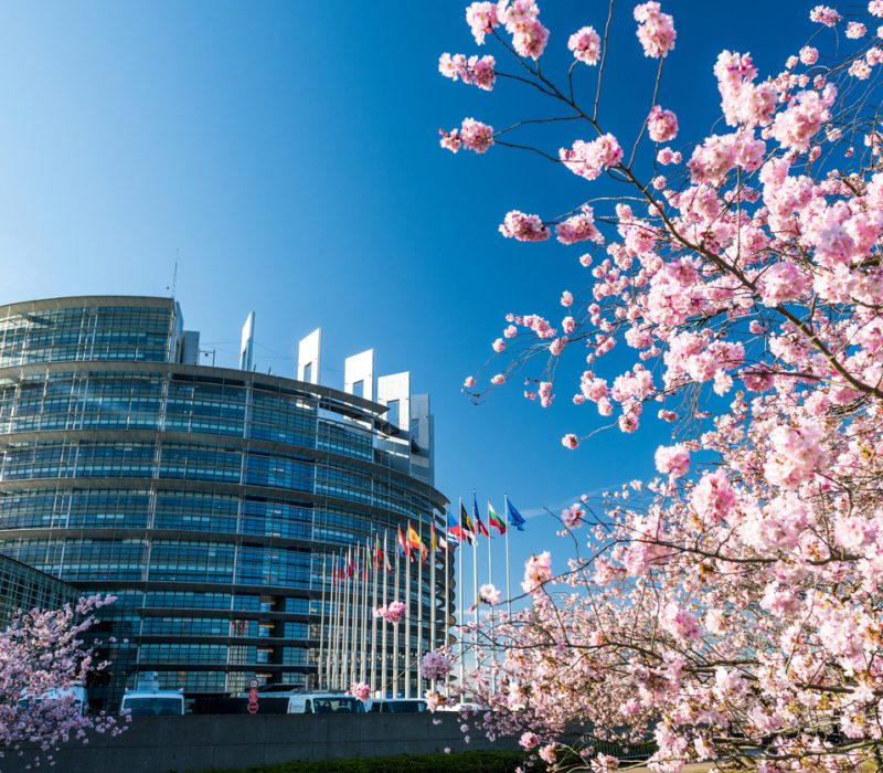 Liberalisering av GMO-regelverket?