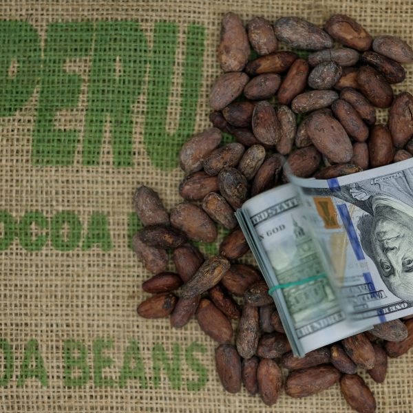 Søt glede – bitter virkelighet