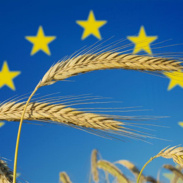 EU nær nytt regelverk for genredigerte planter