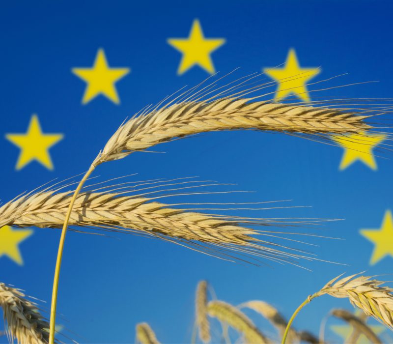 EU nær nytt regelverk for genredigerte planter