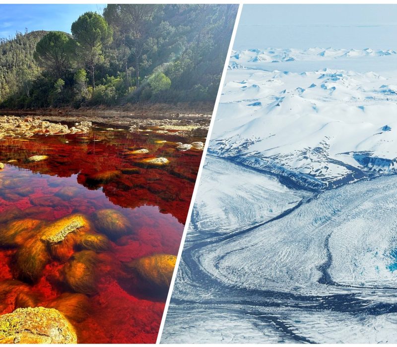 Frokostmøte: Ekstrem skattejakt på nye bioressurser