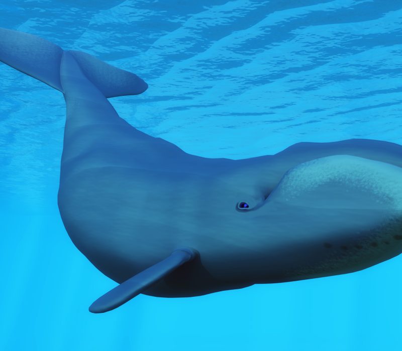 Ungdomskilde på dypt vann