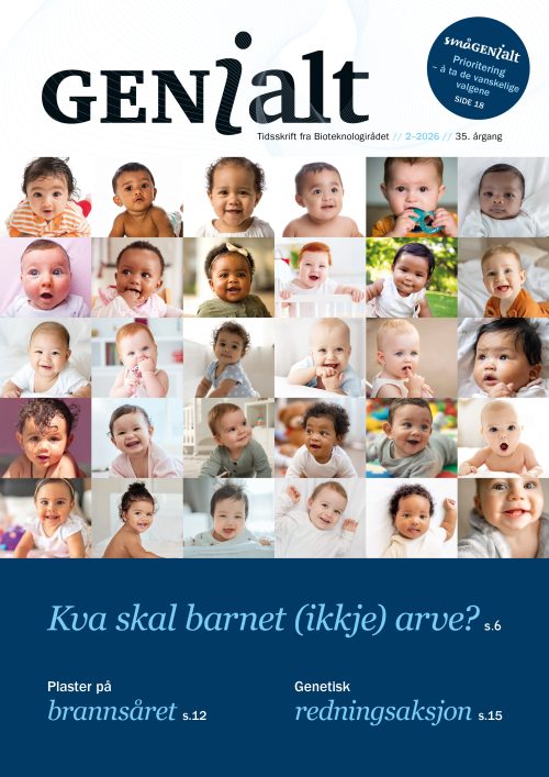 GENialt 2-2026