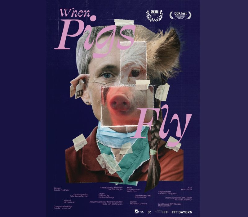 WHEN PIGS FLY – filmvisning og samtale i samarbeid med BIFF